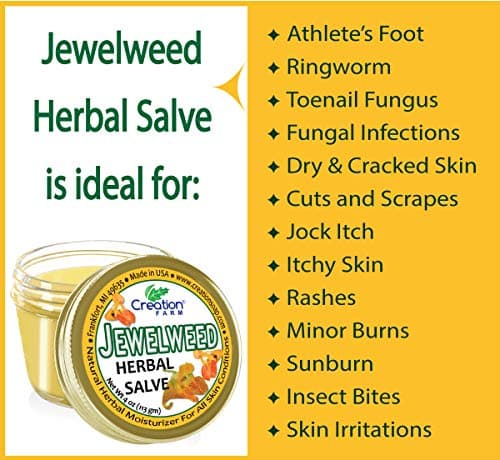 Creation Farm Jewelweed Balm, Poison Ivy Remedy, Herbal Tea Tree Salve Jar Skin Treatment Helps Tattoo's, Soothes Rashes, No Gluten, No Parabens, No Soy, No GMO - Thumbnail 3