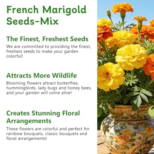 LUOJIBIE French Marigold Seeds for Planting Outdoors, Giant Marigold Flowers Seeds Bulk for 2026, Over 4,000+ Seeds Prolific Blooms, Ideal for Vibrant Pollinator Gardens - Thumbnail 5