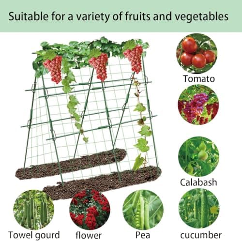 Foldable Cucumber Trellis for Garden - Adjustable Climbing Support for Vegetables, Vining Plants, Cucumbers, Tomatoes, and Peas - Heavy Duty, Weather-Resistant, Easy to Install - Thumbnail 3