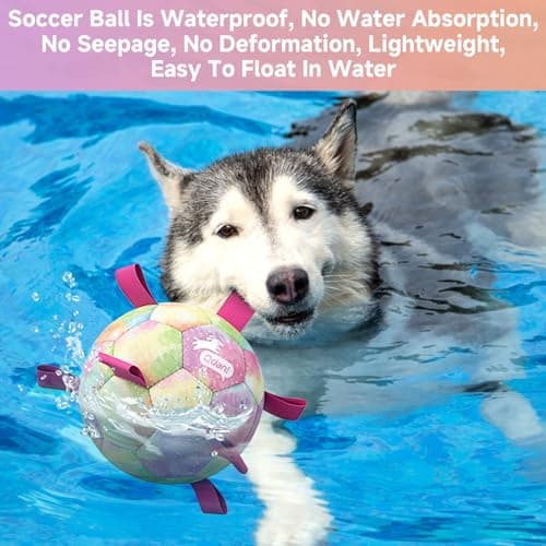 QDAN Extra Large Dog Toys Soccer Ball for Extra Large Dogs - Durable Dog Ball for Beach Pool Water Toy, Interactive Tug of War, Puppy Birthday Gifts, Rainbow (9 Inch) - Thumbnail 3