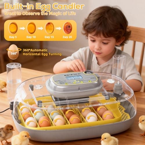 IBKINXX Incubator for Hatching Eggs-24 Egg Capacity, Automatic Egg Turner, Temperature & Humidity Control, 360° Viewing for Chicken, Duck and Quail Eggs - Thumbnail 2