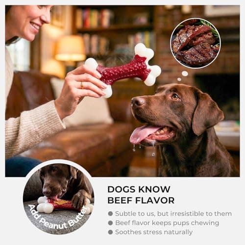 Kseroo Tough Dog Toys for Aggressive Chewers: Beef Flavored Hard Nylon Bones, Dog Chew Toys for Medium Large Breed Dogs (20-90 lbs), Red - Thumbnail 4