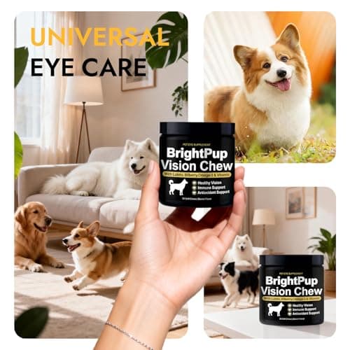 Bright Pup Dog Vision Chews - Eye Health Supplement for Dogs, Bilberry, Omega-3, Vitamins A, C & E, Supports Vision Clarity & Eye Health, Bacon Flavor, 30 Soft Chews(1PC) - Thumbnail 2