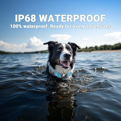 IP68 Waterproof AirTag Dog Collar – Heavy Duty Reflective Padded Design with Integrated AirTag Holder for Small, Medium & Large Dogs – Comfortable & Durable, Size M (12.6"-17.1"), Blue - Thumbnail 3