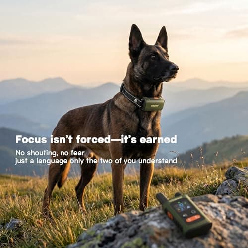 Skasii Training Collar for Dogs with Remote Control, Green - Thumbnail 6