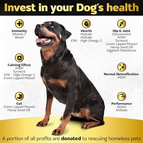 Life4Legs - Soft Chews Hip and Joint Supplement for Dogs - Dog Joint Pain Relief Treats - Glucosamine, Chondroitin, Turmeric - Mobility Bites Supplement - Thumbnail 2