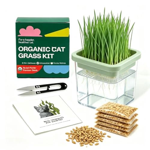 Hydroponic Cat Grass Kit with 5 Pack Non GMO Seeds & Scissors – Small Size for Frequent Fresh Batches, Grow up to 5 Times, Easy 3-Step Setup, Gifts for Cat Lovers (Food-Safe PP&AS, 7-Day Growth) - Image 1