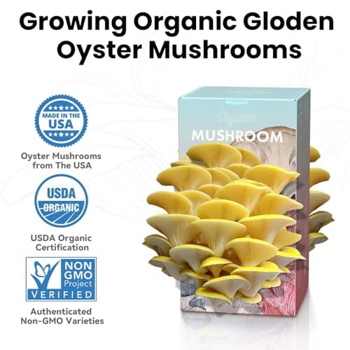 Organic Edible 4lbs Golden Oyster Mushroom Growing Kit, Made in USA, Double-Side Mushroom Grow Kit Indoor, Harvest Gourmet Mushrooms in 10 Days, Top Gardening Gift, Holiday Gift - Thumbnail 2