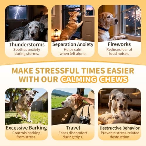 POPPAW Advanced Calming Chews for Dogs-Brain & Composure Support with 7 Mushrooms, Ashwagandha, Omega-3 DHA & EPA, Anxiety Relief Dog Calming Treat, All Breeds & Sizes, Salmon Flavor, 135Ct - Thumbnail 4