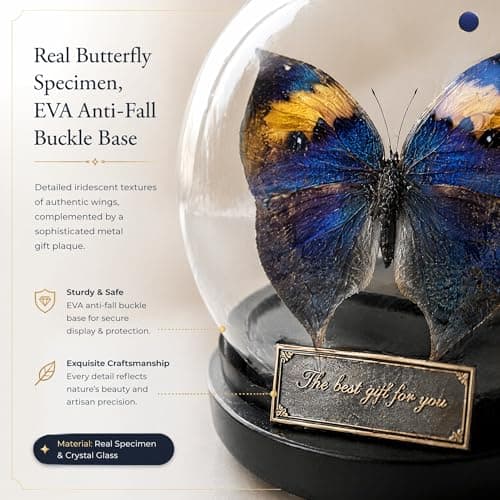 Wugakio Glass Taxidermy Butterfly Specimen Shadow Box, Butterfly Gifts for Women Girls with Glass Cover, Butterfly Decor for Bedroom Office Living Room Desk (Kallima inachus) - Thumbnail 5