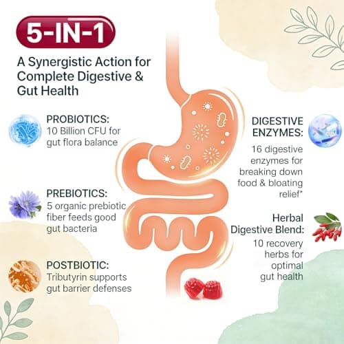 Fletorra Probiotic Gummies, Probiotics for Gut Health, 0 Sugar - 60 Counts - Thumbnail 2
