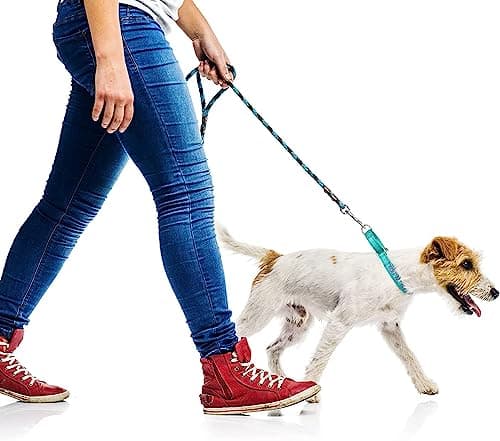 Personalized Martingale Dog Collar-Reflective Martingale Collars with Buckle, Custom Training Martingale Dog Collars Embroidered with Name and Phone Number for Small Medium Large Dogs - Thumbnail 6