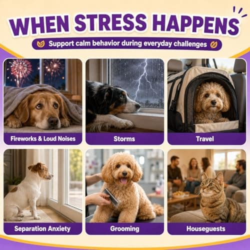 GJYC PET Calming Chews for Dogs & Cats – Anxiety Relief & Stress Support Supplement, Non-Drowsy Relaxation for Separation, Thunderstorms & Travel, Herbal Calming Formula, Chicken Flavor Soft Chews - Thumbnail 3