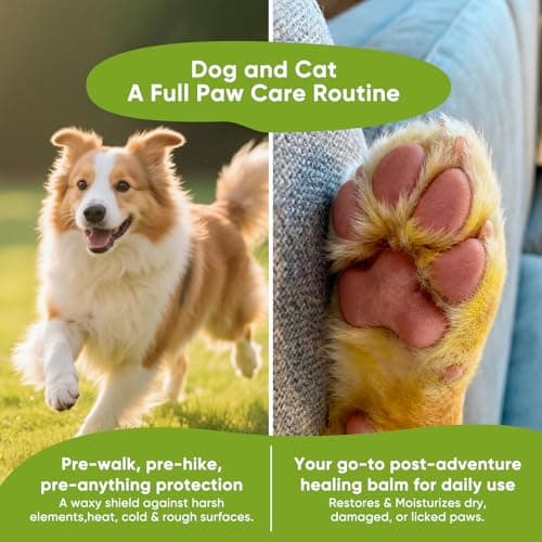 GUOYAOLIFU Pet Paw Balm, Organic Dog Paw Pad Balm Protector, Moisturizer & Soother for Dry, Cracked Pads| Cat Wax & Cream, Helps Protect & Heals Cracked Paws (60g /2oz) - Thumbnail 6