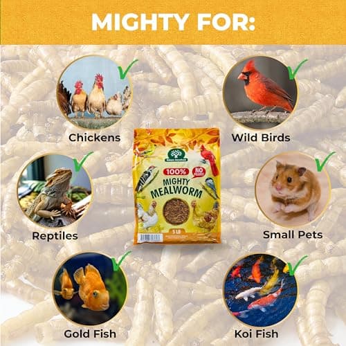 Nature Anywhere Mealworms for Chickens 5LB Mighty Mealworm, Chicken Feed Topper, Chicken Food for Laying Hens, No Fillers, SGS Tested, Resealable Bag, Bird Food for Outside Wild Birds - Thumbnail 5