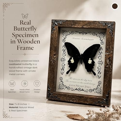 Wugakio Real Butterfly Framed - Hanging wood grain photo frame, Taxidermy Animals for Oddities and Curiosities Gifts (Jade spotted butterfly - Wood Grain Photo Frame) - Thumbnail 4