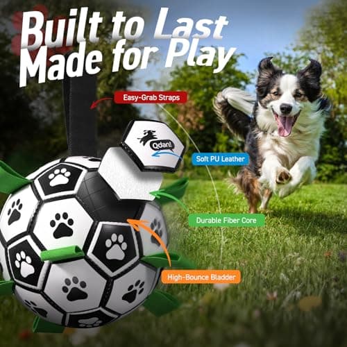 QDAN Dog Toys Dog Balls, World Cup Dog Soccer Ball with Straps, Dog Birthday, Herding Ball, Durable Balls for Small Medium Pet, Puppy Outdoor Toy (6 Inch) - Thumbnail 3