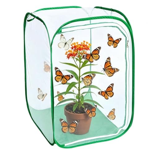 Butterfly Habitat Insect Cage Clear See Through Pop-up Collapsible Butterfly Enclosure-Large 23.6"x23.6"x35.4"