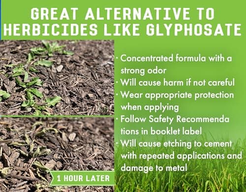 Liquid Harvest Vinegar Weed & Grass Killer - Gallon - Nonselective Herbicide Approved for Organic Production, Pet Safe & Glyphosate Free Herbicide - Thumbnail 5