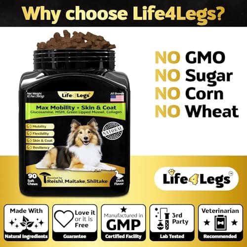 Life4Legs - Hip and Joint Chews for Dogs + Skin and Coat Supplement - Dog Joint Pain Relief Treats - Glucosamine, Chondroitin, MSM, Hemp Oil, Turmeric, Omega 3 for Dogs, Mobility Dog Health Supplies - Thumbnail 5