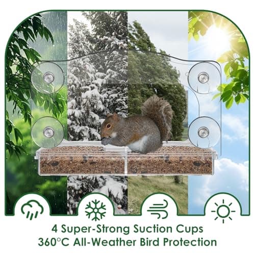 ACEROMT Clear Window Bird Feeder with 4 Extra-Strong Suction Cups, Built-in Water Trough and Drainage Holes, Large View Transparent Bird House for Outside, Unique Bird Watching Gift for Mom Parents - Thumbnail 6
