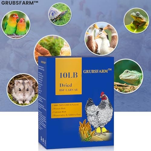 GRUBSFARM Premium Chicken Treats 10LB - Superior to Dried Mealworms - Non-GMO & 85X More Calcium Than Meal Worms - Molting & Laying Supplement - BSF Larvae Treats for Layer Hens, Ducks Wild Birds - Thumbnail 5