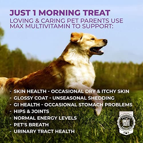 Mighty Petz MAX Dog Multivitamin - Senior & Adult Dog Vitamins 10 in 1 Complete Support for Joints, Immunity, Mobility, Gut, Energy, Skin Health, Pet Multivitamin Daily Chewable Supplement - Thumbnail 5