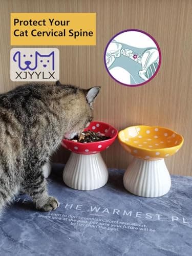 XJYYLX Elevated Mushroom Cat Bowls Ceramic, Raised Cat Bowls for Indoor Cats, Cute Whisker Fatigue Cat Bowl, Raised Dog Bowl Stand for Food and Water, Yellow 6" Wide for Adult Cats - Thumbnail 3