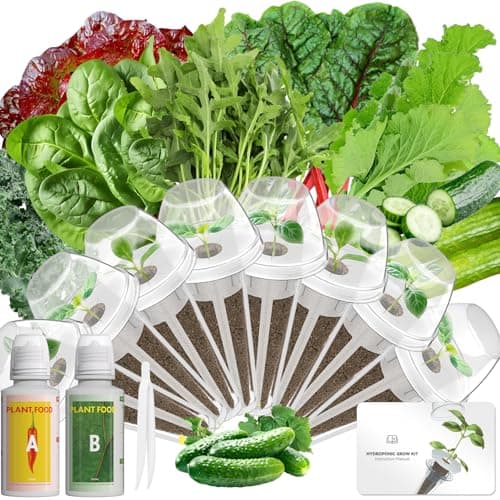 LYKOCLEAN 8-pod Salad Seeds Pod Kit for AeroGarden, iDOO, Ahopegarden Hydroponics Growing System, 350+ Seeds (Include Spinach, Lacinato Kale, Arugula, Swiss Chard, Red Leaf Lettuce, Cucumber)