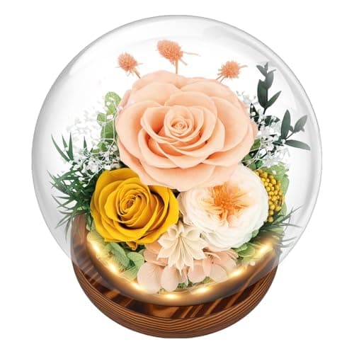 Preserved Flowers for Delivery Prime, Gifts for Mom Wife Grandma Girlfriend, Forever Flowers Gifts for Women, Real Eternal Rose for Birthday, Anniversary, Champagne - Image 1