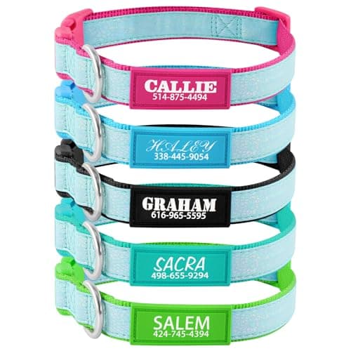 Personalized Dog Collars for Small & Large Dogs with Custom Name and Phone Numbers, Glow in The Dark Adjustable Glowing Luminous Collar(Fluorescent Glow) - Thumbnail 2