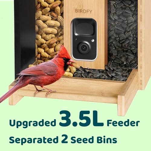 NETVUE by Birdfy Smart Bird Feeder with Camera Solar Powered,2K Live Steam&Permanent AI Identify for Birds&Motion Detection,Birds Watching Ideal Wood Feeder for Chistmas Gift for mom,Bird-Lover - Thumbnail 5