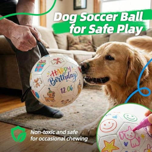 HETOO Dog Soccer Ball with Straps, DIY Paintable Dog Toy Ball Kit with 8 Color Markers,Personalized Interactive Dog Toys for Small Medium Dogs Puppies,6 Inch Birthday Gift Pet Toy - Thumbnail 6