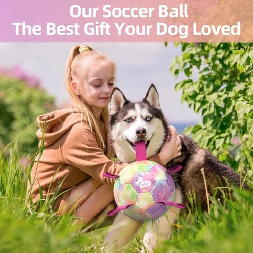 QDAN Extra Large Dog Toys Soccer Ball for Extra Large Dogs - Durable Dog Ball for Beach Pool Water Toy, Interactive Tug of War, Puppy Birthday Gifts, Rainbow (9 Inch) - Thumbnail 2