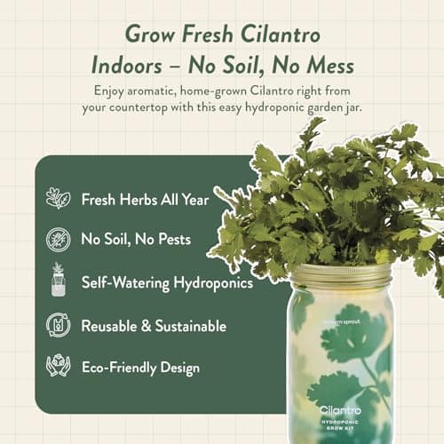 Modern Sprout Mason Garden Jar - Self-Watering Hydroponics Growing System Kit with Organic Herb Seeds - Jar Planter for Indoor Herb Garden - Seed Starter Kit - Home Decor & Gifting - Cilantro - Thumbnail 2