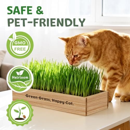 LUOJIBIE Cat Grass Kit for Indoor Cats, Cat Grass Seeds Set, Non-GMO Wheat Grass, Mother' s Day Gifts for Mom, Unique Christmas Birthday Gifts for Women Men Girl, House Warming Gifts for Cat Lover - Thumbnail 4