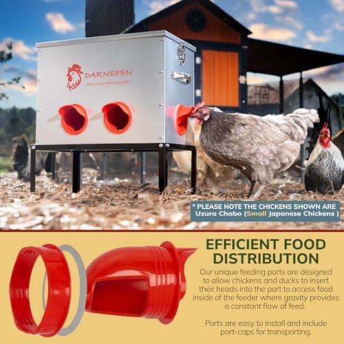 Automatic Chicken Feeder Rat Proof - 40lb 6 Ports Large Capacity Metal Poultry Feeder with Legs and Lids - Galvanized Chicken Feeder for Hen Coop - Thumbnail 3