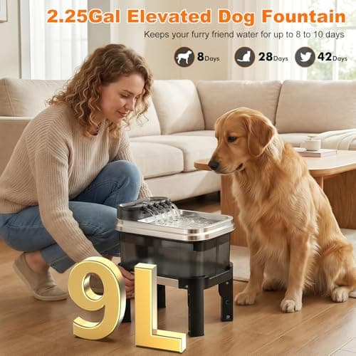 RPZ Dog Water Fountain, 9L Large Capacity Elevated Dog Water Bowl with Filter, 4-Level Adjustable Stainless Steel Water Dispenser for Large Dogs, Quiet Indoor Pet Fountain, No Spill Design - Thumbnail 2