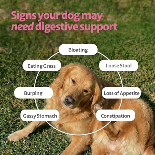 Ayourpets Dog Digestive Chews for Diarrhea, Loose Stool & Sensitive Stomachs – Herbal Gut Support with Ginger, Fennel & Turmeric – Pork Flavor – 90 Count - Thumbnail 4