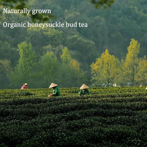 Honeysuckle Buds Organic, 100% Pure Natural Honey Suckle Buds- Hand-picked and Naturally Dried Honeysuckle Buds (2 Bags) - Thumbnail 5