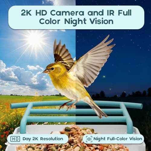 BROAIMX Bird Feeder with Camera- Free AI Forever for 1,1000+ Species Identification, 2K HD & Full Color Night Vision, Solar Powered Wireless Outdoor, Includes 64GB TF Card, Two-Way Audio, App Alerts - Thumbnail 3