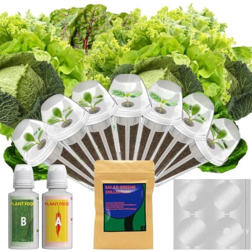 Salad Seeds for AeroGarden, iDOO, Ahopegarden Hydroponics Growing System, 7-pods, 350+ Seeds (Include Spinach, Swiss Chard, American Fast Lettuce, Cabbage, Cauliflower) - Image 1