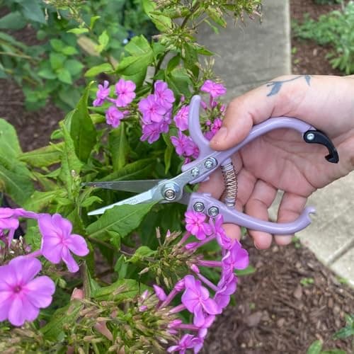 Modern Sprout Pruning Shears - Herb Snipping Scissors- Lightweight Gardening Tools W/Easy Lock - Flower Cutter Garden Shears - Carbon Steel Blade + Plastic-Free Reusable Holster (Multicolor 4 Pcs) - Thumbnail 2