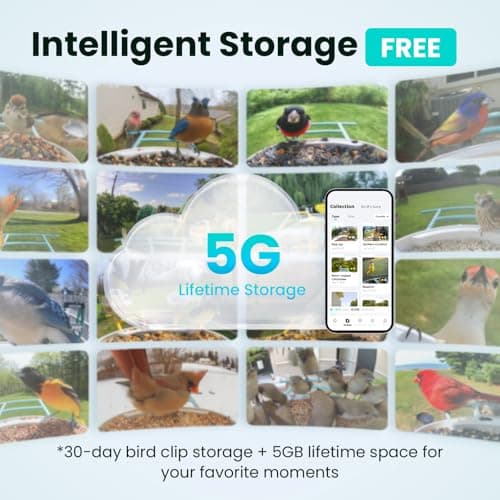 NETVUE by Birdfy Smart Bird Feeder with 2K HD AI Camera Solar Powered, Wireless Wildbird Watching, Live Stream&Color Night Vision, Auto-Capture & Notify, Free Cloud Storage(AI by Subscription) - Thumbnail 3