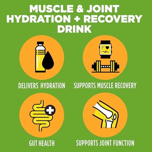 Bala Enzyme - Total Body Wellness Drink Mix - Lime Flavor - Electrolytes Powder Packets - Hydrate & Recover, Turmeric Drink with Electrolytes & Amino Acids - 0.25oz (12 Count) - Thumbnail 3