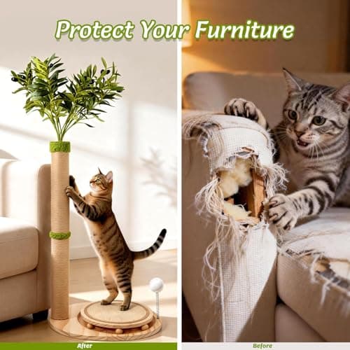 Catails 39" Tall Cat Scratching Post, Cute Olive Cat Scratcher, Interactive Cat Toys with Ball Track & Spring Ball, Sturdy Cat Scratch Post with Pad for Indoor Cats Adults and Kittens - Thumbnail 6