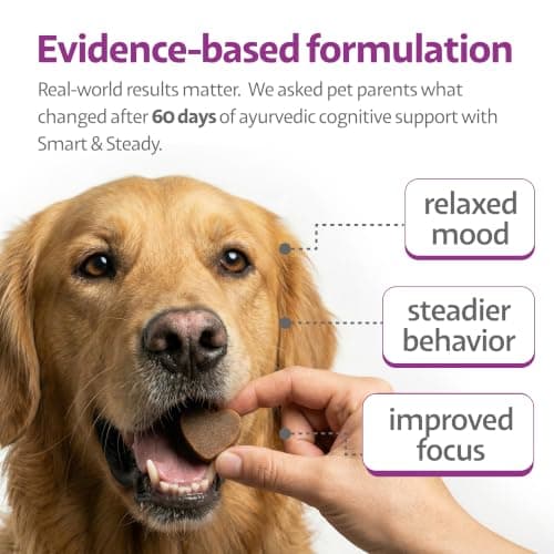 Ayourpets Senior Dog Brain & Cognitive Support Chews – Memory, Focus & Mental Clarity with Brahmi, Ashwagandha & Omega-3 – Ayurvedic Herbal Formula – Fish Flavor – 90 Count - Thumbnail 5