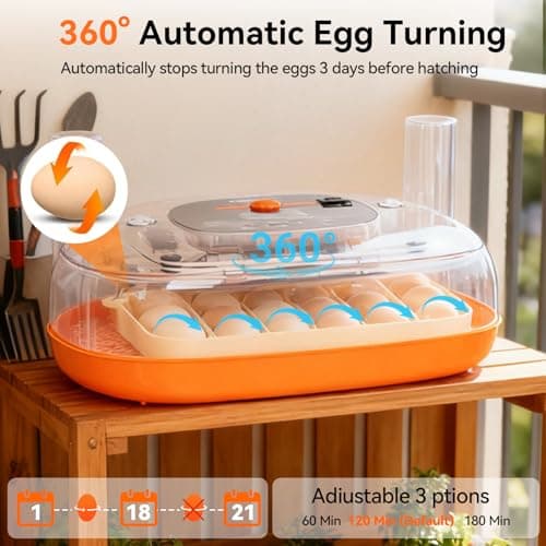 Incubators for Hatching Eggs, 24 Egg Incubator, Automatic Egg Turner with Humidity Control & Digital Temperature, Hatch Day, Auto Water Refill, 360°Viewing for Chicken, Duck, Quail, Duck, Goose - Thumbnail 2