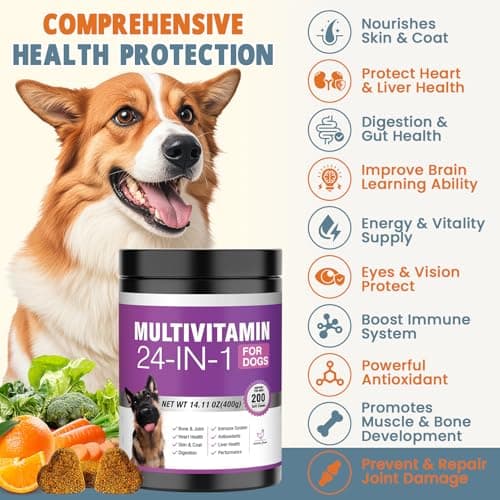 24-in-1 Dog Vitamins and Supplements 200 Ct Dogs Multivitamin Chewable Contain Chondroitin Probiotics Omega-3 Glucosamine for Dogs Skin Coat Heart Joint Gut Liver Brain Eyes Immune Support - Chicken - Thumbnail 2