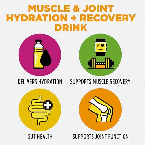 Bala Total Body Wellness Drink Mix, Hydrate & Recover Variety Pack, Pineapple, Lime & Berry, 10 Per Flavor, Zero Sugar Electrolytes Powder Packets with Enzymes & Amino Acids, Turmeric Drink, 30 Sticks - Thumbnail 3